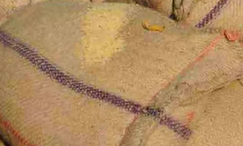 ஆந்திராவுக்கு கடத்த முயன்ற 200 மூட்டை ரேசன் அரிசி, பருப்பு பறிமுதல்