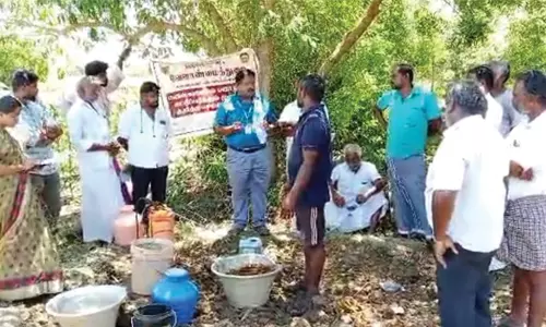 மயில், காட்டுப் பன்றிகளிடமிருந்து பயிர்களை காப்பது எப்படி?