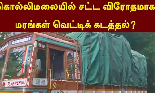 கொல்லிமலையில் மரங்கள் வெட்டி கடத்தல்விசாரணை நடத்த கலெக்டர் அதிரடி உத்தரவு