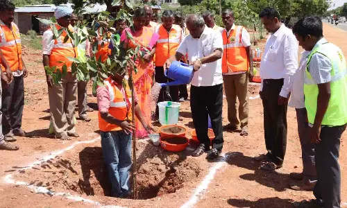பல்லடம் அருகே நெடுஞ்சாலைத்துறை சார்பில் மரக்கன்றுகள் நடும் விழா