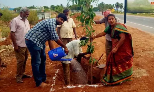 மரக்கன்றுகள் நடும் விழா