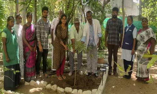 சித்த மருத்துவ பிரிவில் நடப்பட்ட மூலிகை மரக்கன்றுகள்