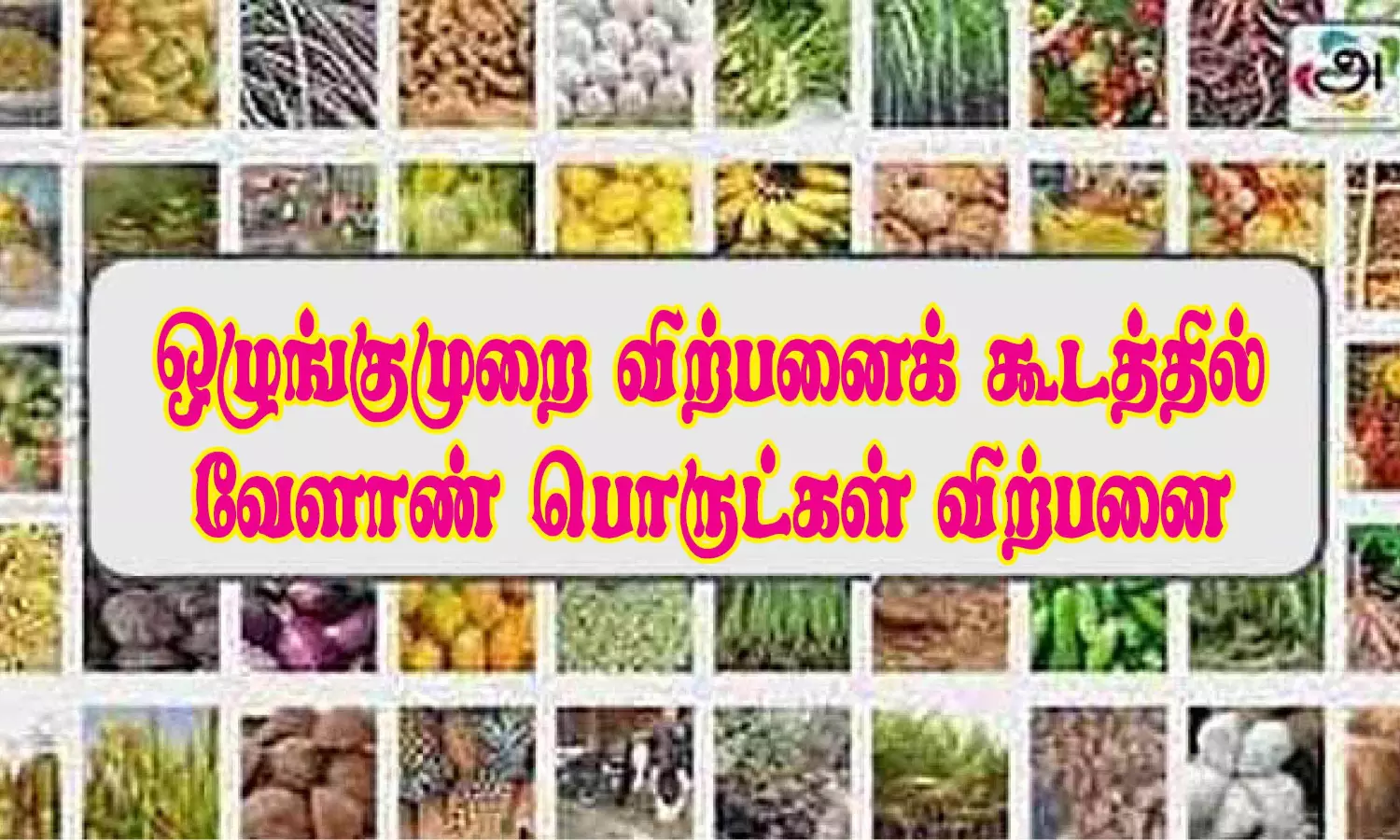 வேளாண் ஒழுங்கு முறை விற்பனை கூடத்தில் ரூ.37 லட்சத்துக்கு வேளாண் பொருட்கள் ஏலம் வேளாண் ஒழுங்கு முறை விற்பனை கூடத்தில் ரூ.37 லட்சத்துக்கு வேளாண் பொருட்கள் ஏலம்