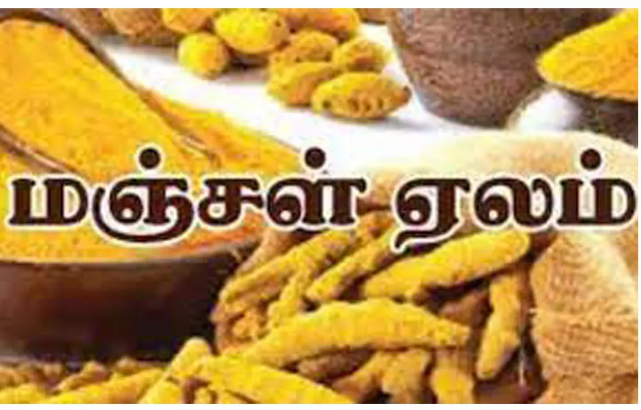 அரூரில் ரூ.4½ லட்சத்துக்கு மஞ்சள் ஏலம் அரூரில் ரூ.4½ லட்சத்துக்கு மஞ்சள் ஏலம்