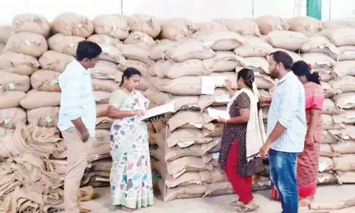 தாராபுரத்தில் விதை விற்பனை பட்டியலை பராமரிக்காததால் ரூ.50 லட்சம்   நெல் விதைகளை விற்க அதிகாரிகள் தடை