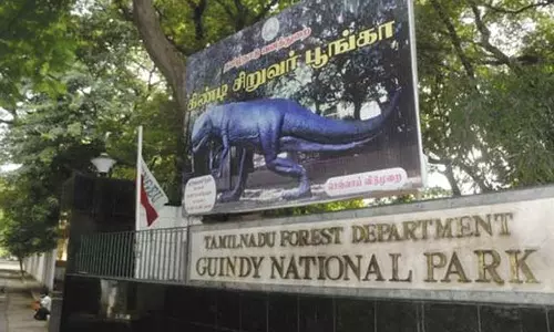 ரூ.20 கோடியில் சீரமைப்பு- கிண்டி சிறுவர் பூங்கா 6 மாதம் மூடப்படுகிறது