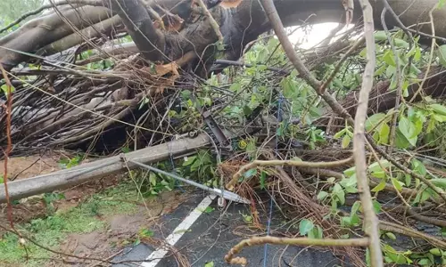 பரமத்திவேலூர் பகுதியில் திடீர் மழை சூறாவளி காற்றால் 7 மின்கம்பங்கள் சாய்ந்தது