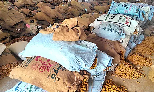 நாமகிரிப்பேட்டையில் 1350 மஞ்சள் மூட்டைகள் ரூ.56 லட்சத்திற்கு ஏலம்