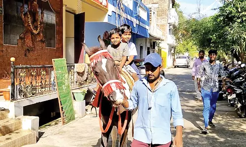 புதுச்சேரியில் பள்ளிகள் திறப்பு- குழந்தைகளை பள்ளிக்கு குதிரையில் அழைத்து வந்த தந்தை