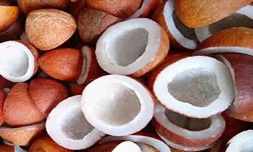 வெள்ளகோவிலில் ரூ.40 லட்சத்திற்கு தேங்காய் பருப்பு விற்பனை