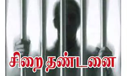 பெண்ணிடம் நகை பறிக்க முயன்ற வழக்கில் வாலிபருக்கு 2 ஆண்டு சிறை தண்டனை