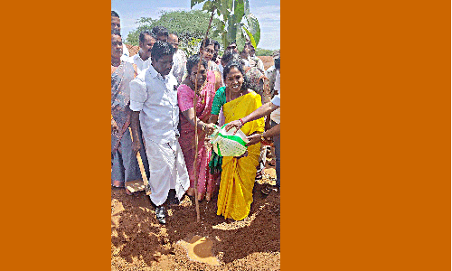 அலங்காரகுளத்தில் மரக்கன்றுகள் நடும் விழா