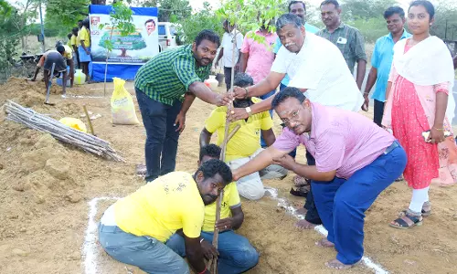 மரக்கன்றுகள் நடும் விழா