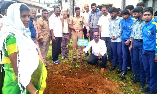 கோத்தகிரியில் சோலை மரக்காடு அமைக்கும் திட்டம் தொடக்கம்