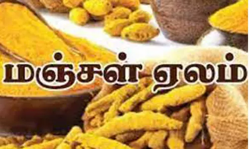 அரூரில் ரூ.4½ லட்சத்துக்கு மஞ்சள் ஏலம்