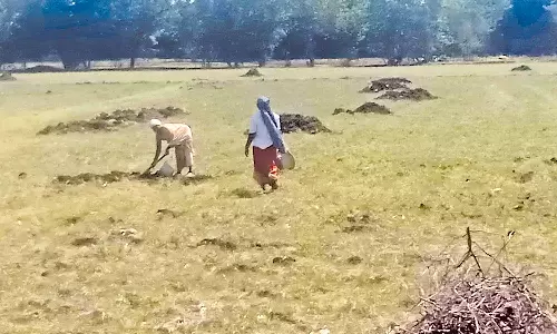 கல்லணையில் இருந்து வருகிற 16-ந்தேதி தண்ணீர் திறப்பு