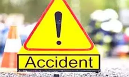 ஆந்திராவில் சோகம் - லாரி மோதியதில் 3 யானைகள் உயிரிழப்பு