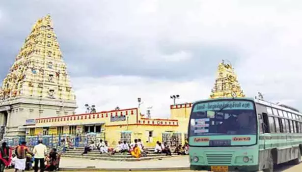 ஆனி அமாவாசையையொட்டி மாதேஸ்வரன் மலைக்கு 40 சிறப்பு பஸ்கள் இயக்கம்