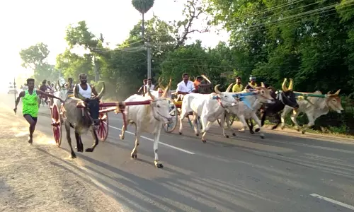 அறந்தாங்கியில் மாட்டு வண்டி, குதிரை வண்டி எல்கை பந்தயம்