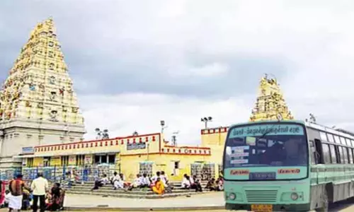 ஆனி அமாவாசையையொட்டி மாதேஸ்வரன் மலைக்கு 40 சிறப்பு பஸ்கள் இயக்கம்