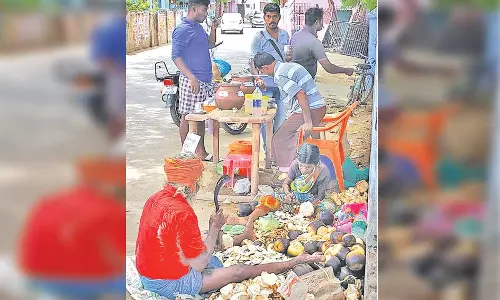 உடன்குடி பகுதியில் வெயிலின் தாக்கம் அதிகரிப்பு - நுங்கு விற்பனை ஜோர்