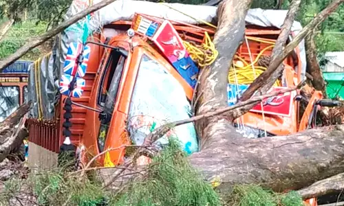 கோத்தகிரி- குன்னுார் சாலையில்  மரம் முறிந்து லாரி மீது விழுந்தது