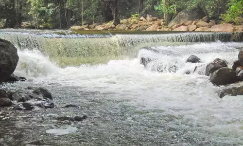 Tamil Meaning of Stream (as In Blood Stream) - அருவி