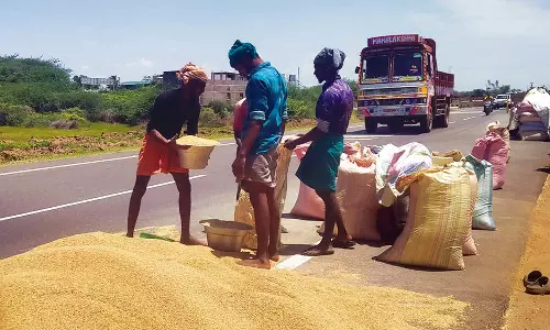 நெடுஞ்சாலையில் நெல் உலர்த்தும் விவசாயிகள்