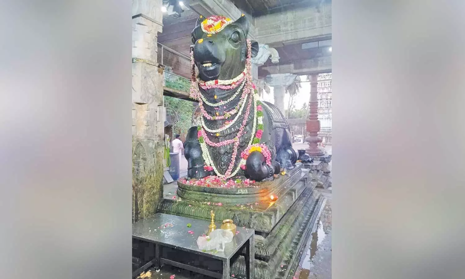 சீர்காழி பகுதி சிவன் கோவில்களில் பிரதோஷ வழிபாடு சீர்காழி பகுதி சிவன் கோவில்களில் பிரதோஷ வழிபாடு