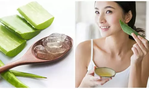 சரும அழகிற்கு கற்றாழையை கொண்டு எப்படியெல்லாம் மாஸ்க் போடலாம்