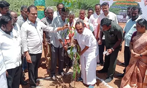 புதுக்ேகாட்டையில் மரக்கன்றுகள் நடும் விழா