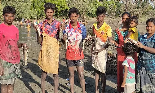 பொன்னமராவதி அருகே கட்டையாண்டிபட்டி கிராமத்தில் மீன்பிடித் திருவிழா கோலாகலம்