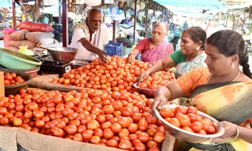 வ.உ.சி மார்க்கெட்டில் தக்காளி விலை கிடு கிடுவென உயர்ந்தது
