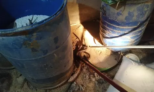 மங்கலம்பேட்ைட அருகே வீடுகளுக்குள் புகுந்த 2 நல்ல பாம்புகள் உயிருடன் மீட்பு