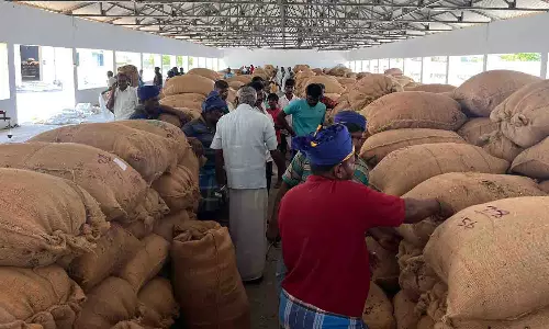 வெள்ளகோவிலில் ரூ.23 லட்சத்திற்கு சூரியகாந்தி விதை ஏலம்