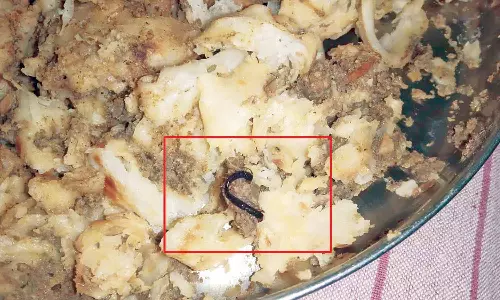 பூரான் கிடந்த பரோட்டா சாப்பிட்ட 2 வாலிபர்களுக்கு வாந்தி, மயக்கம்- ஆஸ்பத்திரியில் அனுமதி