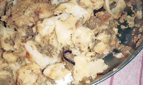 பூரான் கிடந்த பரோட்டா சாப்பிட்ட  2 வாலிபர்களுக்கு வாந்தி, மயக்கம்