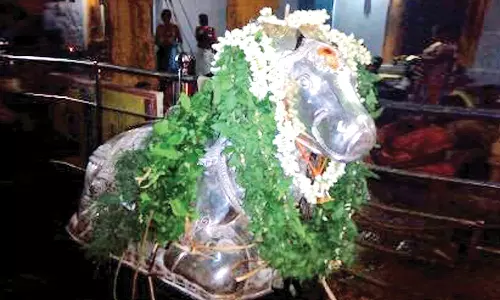 செங்கோட்டை குலசேகரநாதர் கோவிலில் பிரதோஷ வழிபாடு