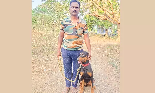 கோவை வனத்துறையில் மேலும் ஒரு நாய் சேர்ப்பு