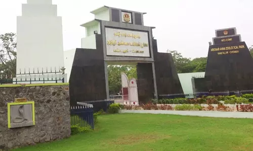 வண்டலூர் பூங்காவில் சபாரி இடத்தில் சிங்கம் திறந்து விடப்பட்டது