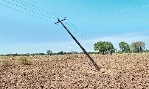 தாழ்வாக செல்லும் மின்கம்பங்கள் சீரமைக்கப்படுமா?