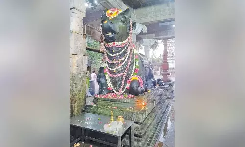 சீர்காழி பகுதி சிவன் கோவில்களில் பிரதோஷ வழிபாடு