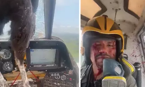 விமானத்தில் மோதிய பறவையால் படுகாயம் அடைந்த விமானி