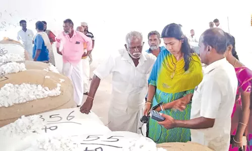 பாபநாசம் ஒழுங்குமுறை விற்பனை கூடத்தில் பருத்தி ஏலம்