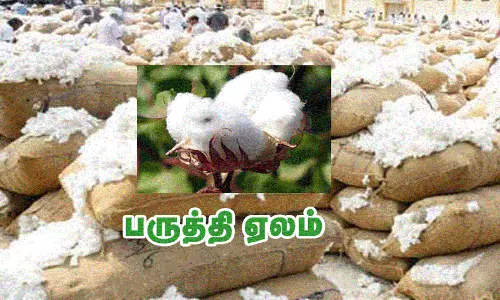 திங்கட்கிழமை தோறும் பருத்தி மின்னணு ஏல விற்பனை