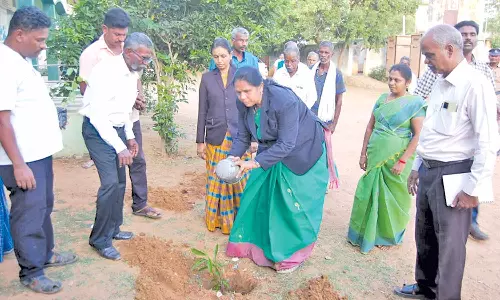 ஆலக்குடியில், மரக்கன்றுகள் நடும் நிகழ்ச்சி