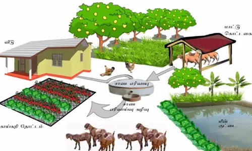 கபிலர்மலை வட்டார விவசாயிகளுக்கு ஒருங்கிணைந்த பண்ணையம் அமைத்திட மானியம்