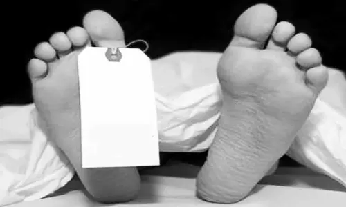 விவசாயி மயங்கி விழுந்து சாவு