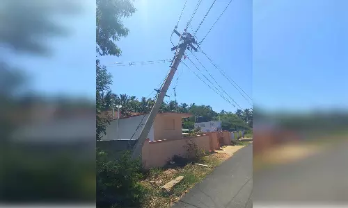 மடத்துக்குளம் அருகே  மரத்தின் கிளைகள் விழுந்ததால் உடைந்த மின் கம்பம்