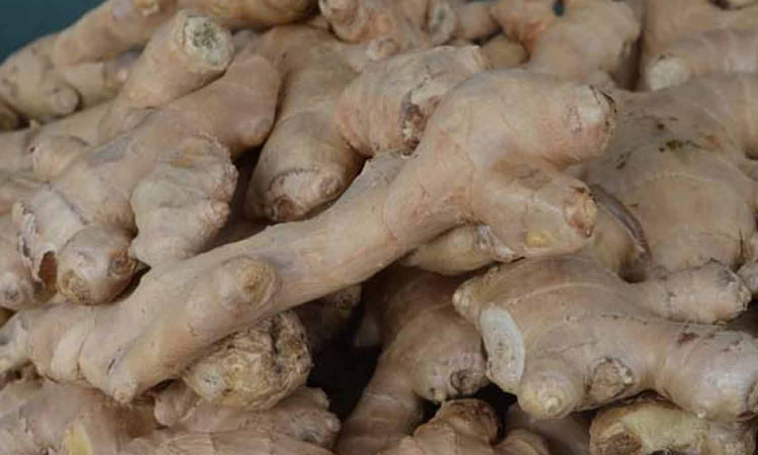 வரத்து குறைவு எதிரொலி- மேட்டுப்பாளையம் மார்க்கெட்டில் இஞ்சி விலை உயர்வு